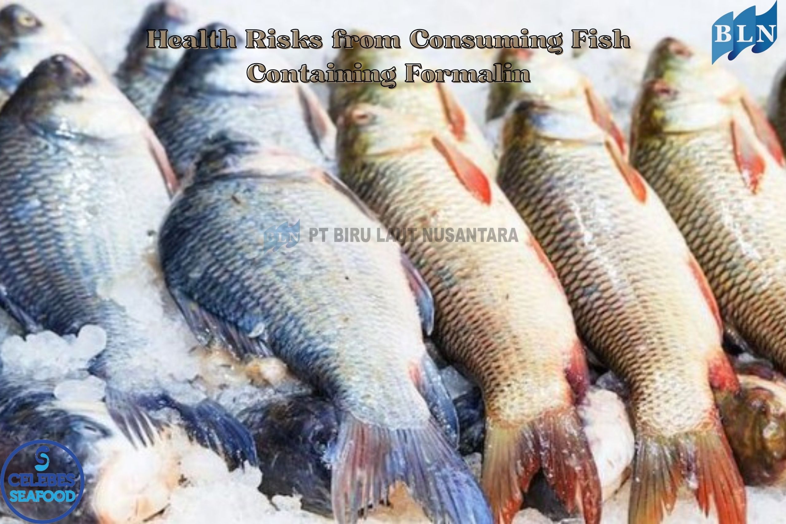 Health Risks from Consuming Fish Containing Formalin